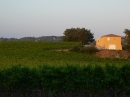 03 - Arrivée à  Villelaure le samedi à midi