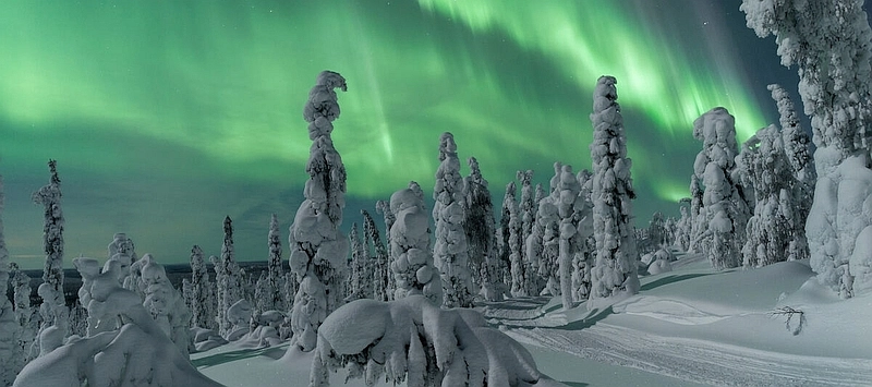 Illustration Finlande : Lapland's Arctic Wilderness - Thomas Kast