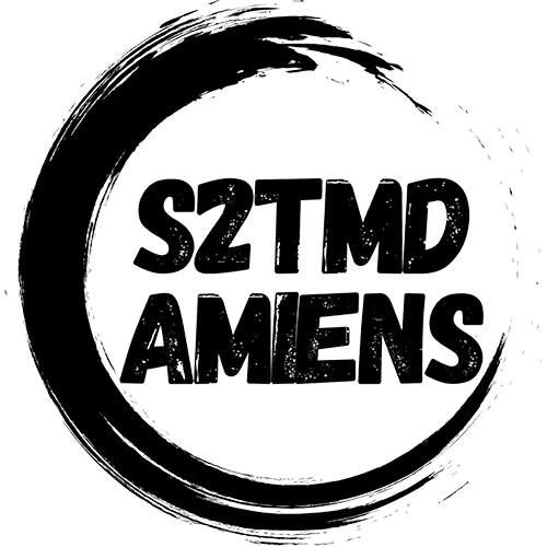 Formation S2TMD du Lycée La Hotoie d'Amiens